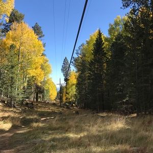 Meet your Posher, Connor